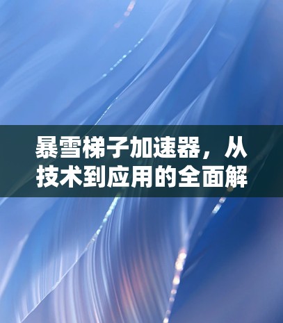暴雪梯子加速器,从技术到应用的全面解决方案