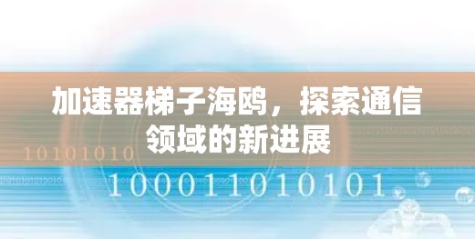 加速器梯子海鸥,探索通信领域的新进展