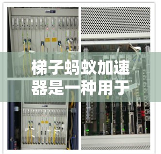 梯子蚂蚁加速器是一种用于加速设备或数据传输的工具,可能结合了在网络攻击或数据安全中被使用的特点。以下是关于梯子蚂蚁加速器的详细信息