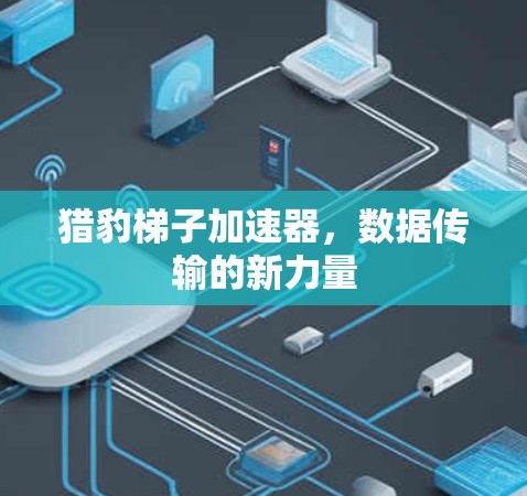 猎豹梯子加速器,数据传输的新力量 猎豹梯子加速器,数据传输的新力量