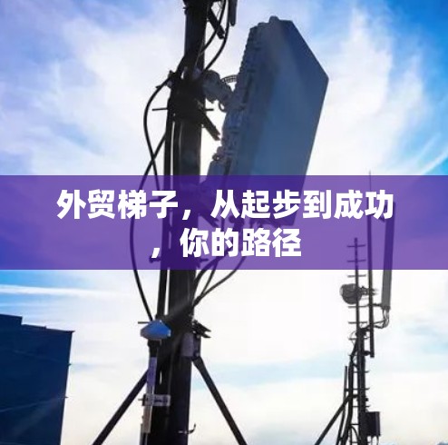 外贸梯子,从起步到成功,你的路径