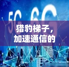 猎豹梯子,加速通信的科技加速器,你值得了解! 猎豹梯子,加速通信的科技加速器,你值得了解!