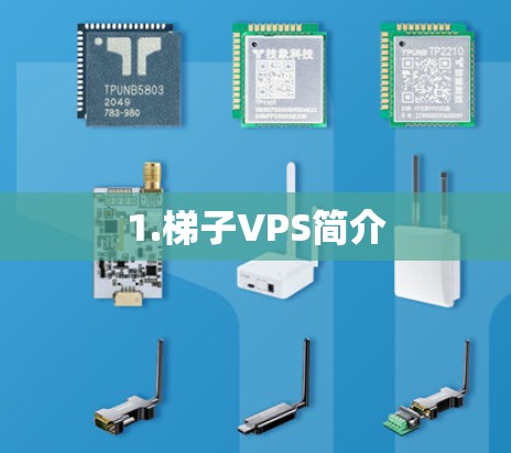 1.梯子VPS简介 1.梯子VPS简介