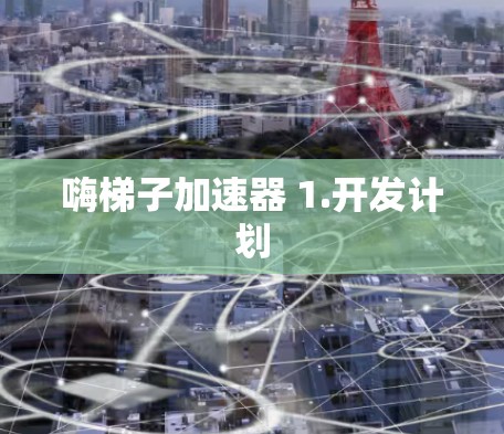 嗨梯子加速器 1.开发计划 嗨梯子加速器 1.开发计划