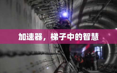 加速器,梯子中的智慧 加速器,梯子中的智慧