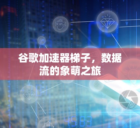 谷歌加速器梯子，数据流的象萌之旅