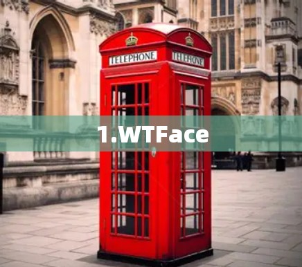 1.WTFace 1.WTFace