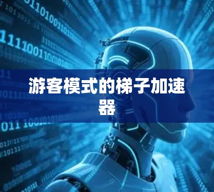 游客模式的梯子加速器 游客模式的梯子加速器