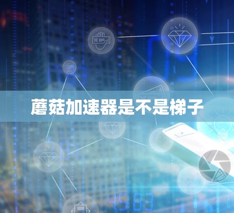 蘑菇加速器是不是梯子