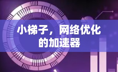 小梯子，网络优化的加速器