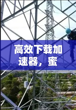 高效下载加速器，蜜蜂永久免费梯子加速器