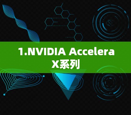 1.NVIDIA AcceleraX系列