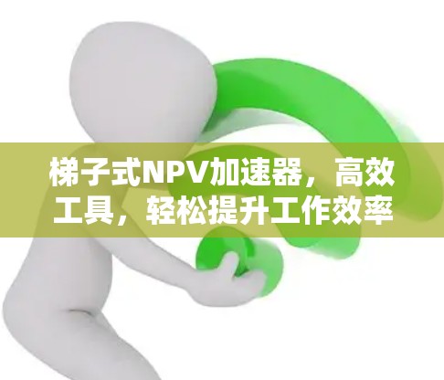 梯子式NPV加速器，高效工具，轻松提升工作效率