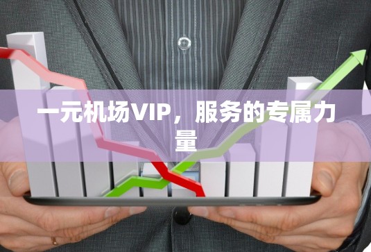 一元机场VIP,服务的专属力量 一元机场VIP,服务的专属力量