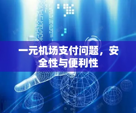 一元机场支付问题,安全性与便利性 一元机场支付问题,安全性与便利性