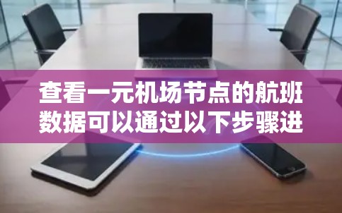 查看一元机场节点的航班数据可以通过以下步骤进行 查看一元机场节点的航班数据可以通过以下步骤进行