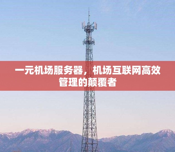 一元机场服务器，机场互联网高效管理的颠覆者