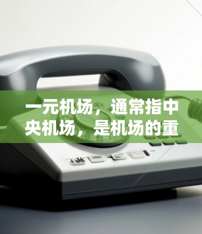 一元机场，通常指中央机场，是机场的重要组成部分，以其高效的航务、便捷的登机服务和丰富的服务模式而闻名。以下是对一元机场模式的详细分析