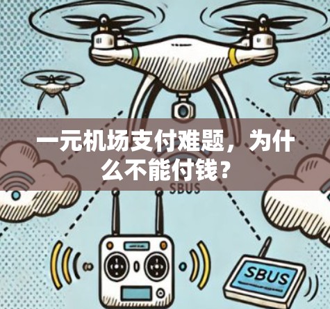 一元机场支付难题,为什么不能付钱? 一元机场支付难题,为什么不能付钱?