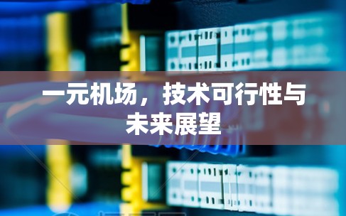 一元机场，技术可行性与未来展望