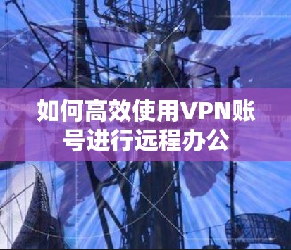 如何高效使用VPN账号进行远程办公