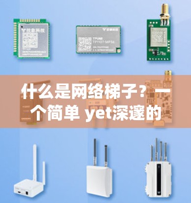 什么是网络梯子?一个简单 yet深邃的网络结构 什么是网络梯子?一个简单 yet深邃的网络结构