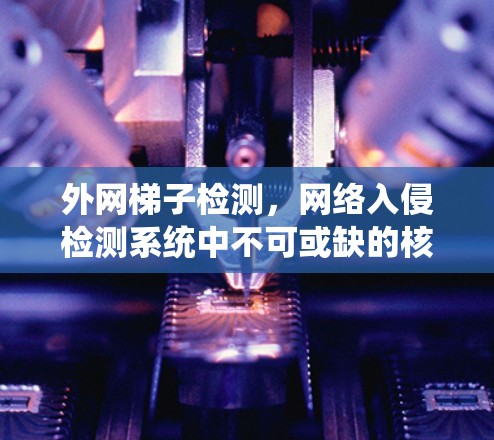 外网梯子检测,网络入侵检测系统中不可或缺的核心技术 外网梯子检测,网络入侵检测系统中不可或缺的核心技术