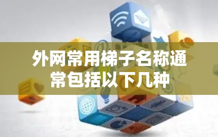 外网常用梯子名称通常包括以下几种