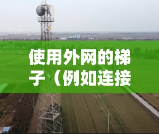 使用外网的梯子(例如连接到云服务器或外部服务器)需要遵循以下步骤 使用外网的梯子(例如连接到云服务器或外部服务器)需要遵循以下步骤