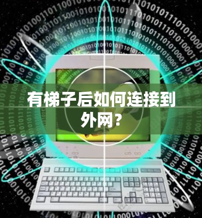 有梯子后如何连接到外网？