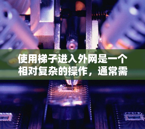使用梯子进入外网是一个相对复杂的操作，通常需要特定的设备和工具来完成。以下是一个清晰的步骤指南，帮助您理解和执行此操作