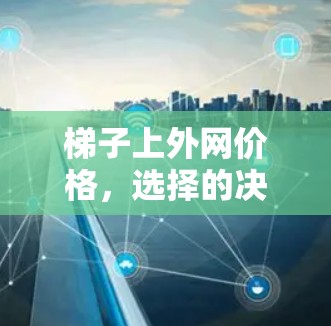 梯子上外网价格，选择的决定