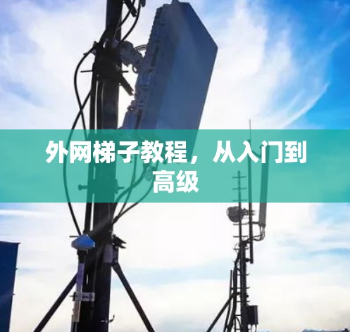 外网梯子教程,从入门到高级 外网梯子教程,从入门到高级