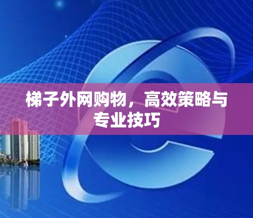 梯子外网购物，高效策略与专业技巧