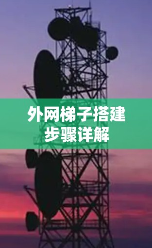 外网梯子搭建步骤详解