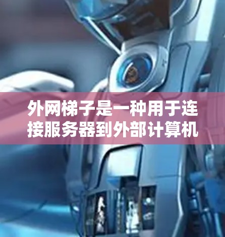 外网梯子是一种用于连接服务器到外部计算机或局域网的设备，通常用于小规模或中等规模的网络。以下是对外网梯子的详细说明