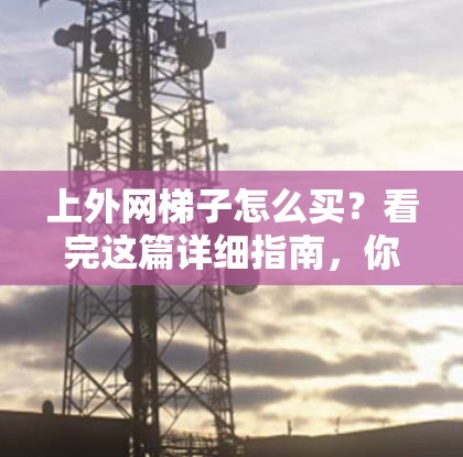 上外网梯子怎么买?看完这篇详细指南,你一定不会想错了 上外网梯子怎么买?看完这篇详细指南,你一定不会想错了