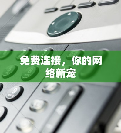 免费连接,你的网络新宠 免费连接,你的网络新宠
