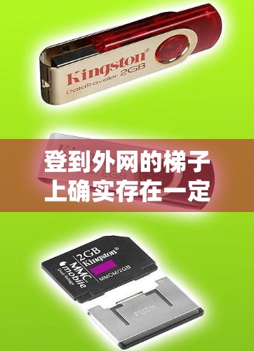 登到外网的梯子上确实存在一定的安全风险，以下是对此问题的逐步解决方案