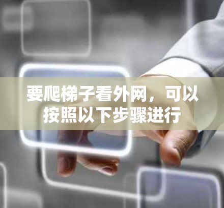要爬梯子看外网，可以按照以下步骤进行