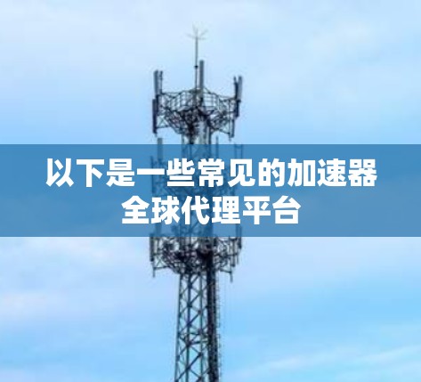 以下是一些常见的加速器全球代理平台