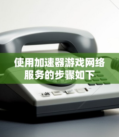 使用加速器游戏网络服务的步骤如下