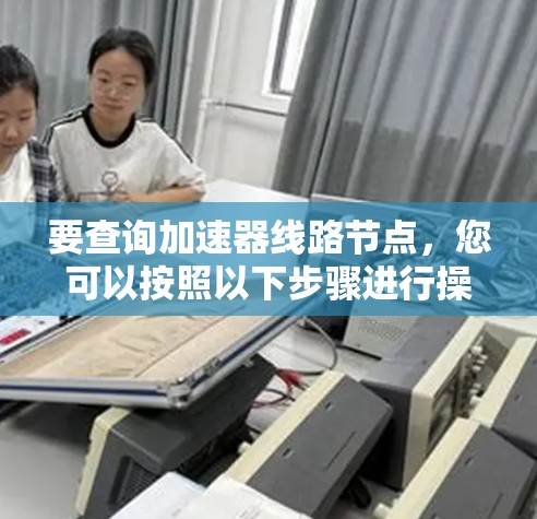 要查询加速器线路节点，您可以按照以下步骤进行操作