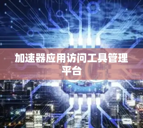 加速器应用访问工具管理平台
