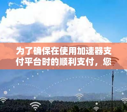 为了确保在使用加速器支付平台时的顺利支付，您可以按照以下步骤操作