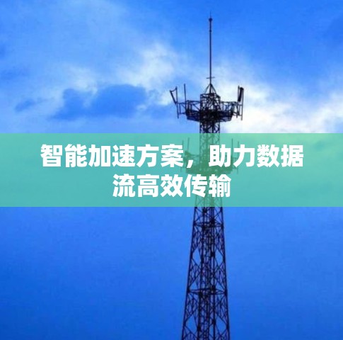 智能加速方案，助力数据流高效传输