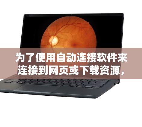 为了使用自动连接软件来连接到网页或下载资源，您可以按照以下步骤进行操作
