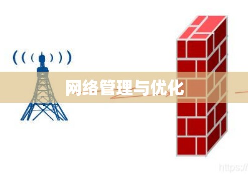 网络管理与优化