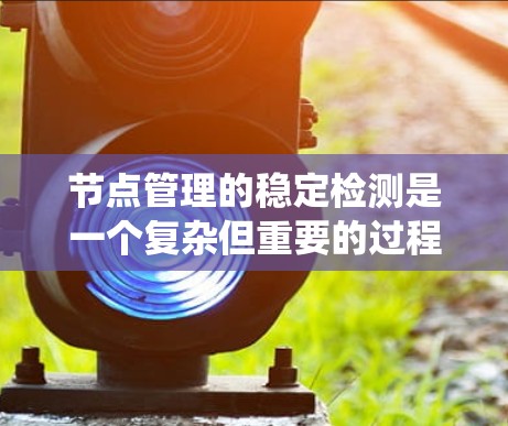 节点管理的稳定检测是一个复杂但重要的过程，用于确保系统在出现问题时能够及时发现和处理。以下是对节点管理稳定检测的详细分析和步骤指南