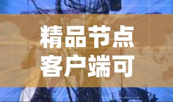 精品节点客户端可能指的是某个特定节点或平台的客户端程序,用于数据采集、分析或管理的功能。以下是一些可能的解释和步骤 精品节点客户端可能指的是某个特定节点或平台的客户端程序,用于数据采集、分析或管理的功能。以下是一些可能的解释和步骤